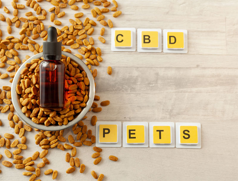 CBD-products-and-pets-strip5